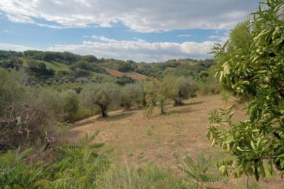 Casale Colonico in vendita a Cupra Marittima