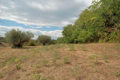 Casale Colonico in vendita a Cupra Marittima