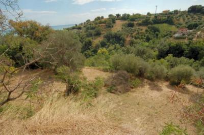 Casale Colonico in vendita a Cupra Marittima