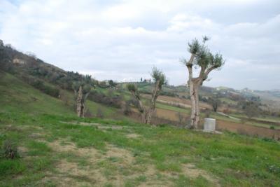 Casale Colonico in vendita a Monsampolo del Tronto