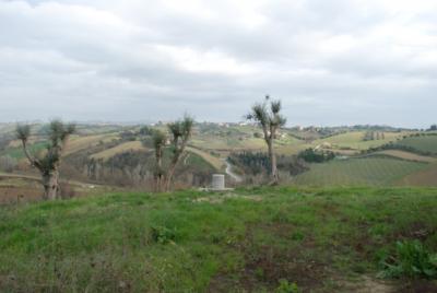 Casale Colonico in vendita a Monsampolo del Tronto