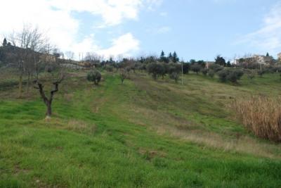 Casale Colonico in vendita a Monsampolo del Tronto