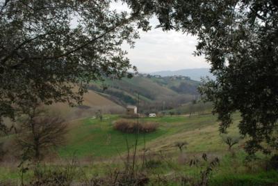 Casale Colonico in vendita a Monsampolo del Tronto