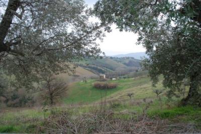 Casale Colonico in vendita a Monsampolo del Tronto