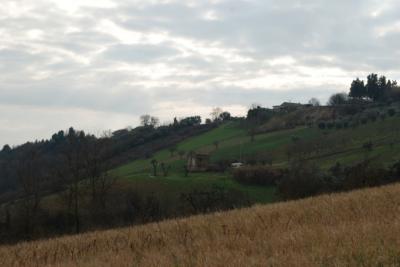 Casale Colonico in vendita a Monsampolo del Tronto