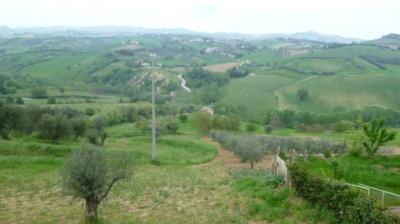 Casale Colonico in vendita a Monsampolo del Tronto