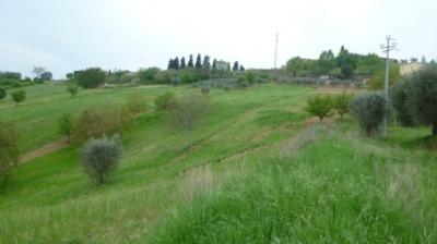 Casale Colonico in vendita a Monsampolo del Tronto