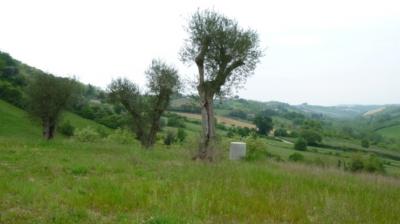 Casale Colonico in vendita a Monsampolo del Tronto