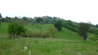 Casale Colonico in vendita a Monsampolo del Tronto