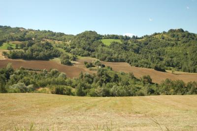 Casale Colonico in vendita a Force