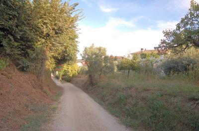 Terreno Edificabile Residenziale in vendita a Acquaviva Picena