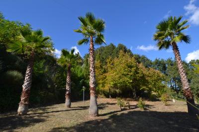 Villa singola in vendita a Colonnella