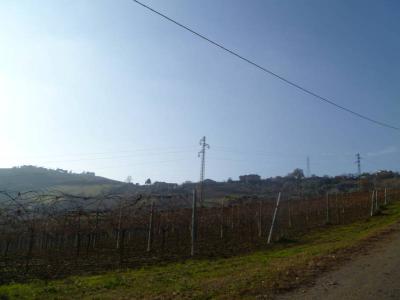 Terreno Agricolo (con / Senza Piccolo Prefabbricato) in Vendita a Spinetoli