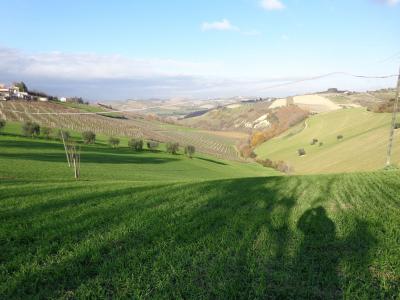 Rustico in vendita a Cossignano (AP)