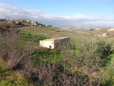 Rustico in vendita a Cossignano (AP)