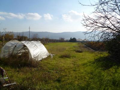 Terreno Agricolo (con / Senza Piccolo Prefabbricato) in Affitto a Colli del Tronto