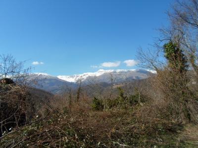 Casa cielo - terra in vendita a Comunanza