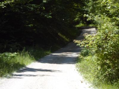 Casa cielo - terra in vendita a Comunanza