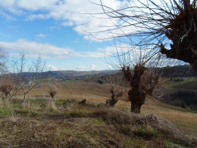 Casale Colonico in vendita a San Severino Marche