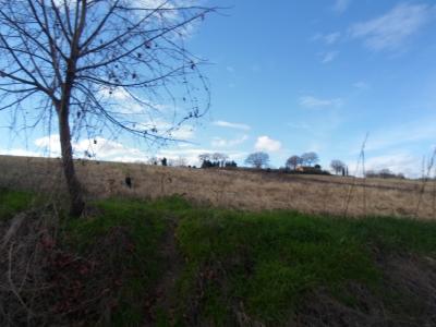 Casale Colonico in vendita a San Severino Marche