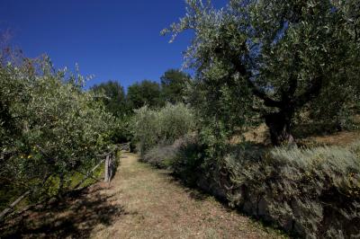 Casale Colonico in vendita a Ascoli Piceno