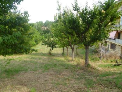 Terreno Edificabile Residenziale in Vendita a Monsampolo del Tronto