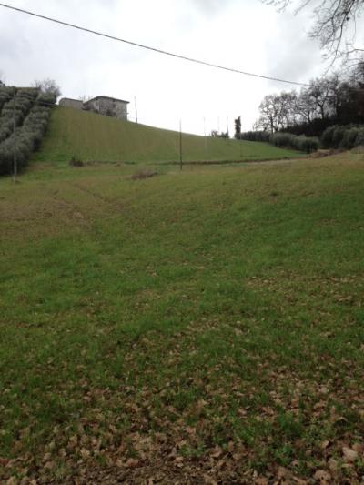 Terreno Edificabile Residenziale in vendita a Morrovalle