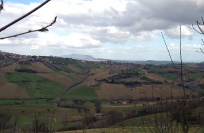 Terreno Edificabile Residenziale in vendita a Morrovalle