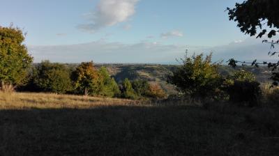 Terreno agricolo in vendita a Grottammare (AP)