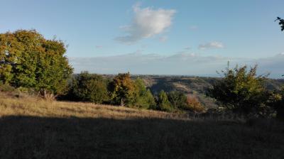 Terreno agricolo in vendita a Grottammare (AP)