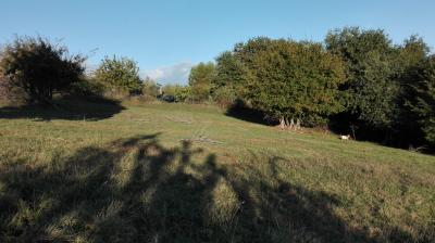 Terreno Agricolo (con / Senza Piccolo Prefabbricato) in vendita a Grottammare