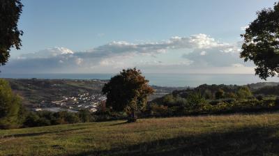 Terreno agricolo in vendita a Grottammare (AP)