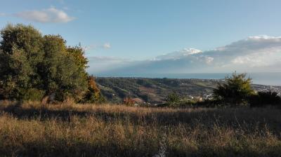 Terreno Agricolo (con / Senza Piccolo Prefabbricato) in vendita a Grottammare