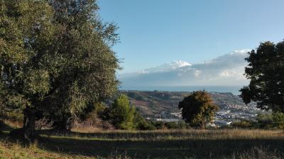 Terreno Agricolo (con / Senza Piccolo Prefabbricato) in vendita a Grottammare