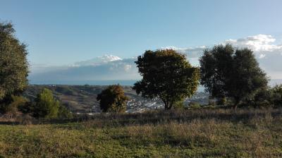 Terreno agricolo in vendita a Grottammare (AP)