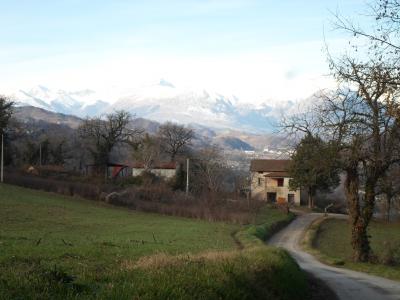 Casale Colonico in vendita a Force