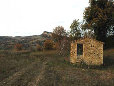 Casale Colonico in vendita a Force