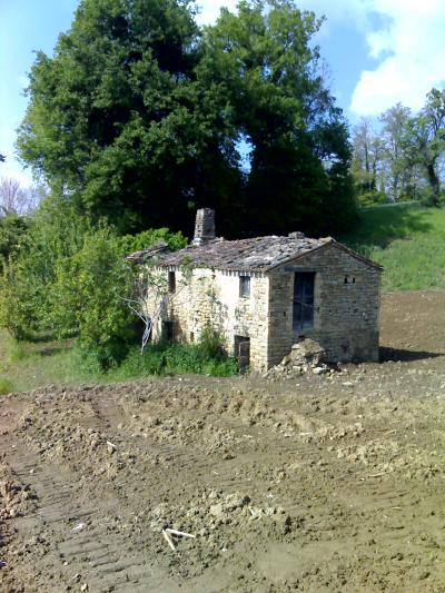 Casale Colonico in vendita a Force