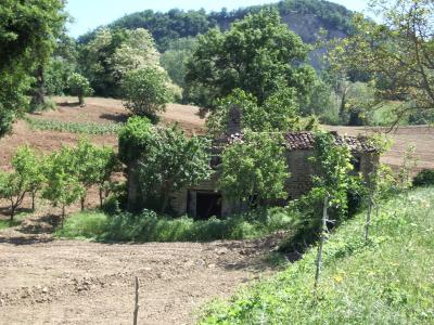 Casale Colonico in vendita a Force