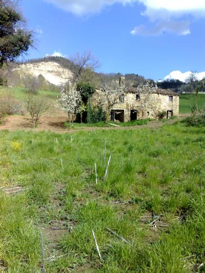 Casale Colonico in vendita a Force