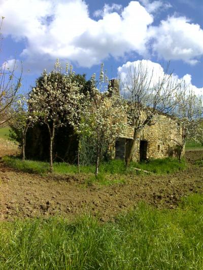 Casale Colonico in vendita a Force