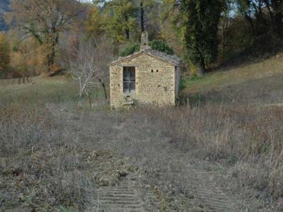 Casale Colonico in vendita a Force