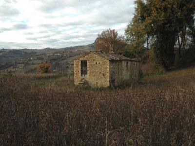 Casale Colonico in vendita a Force