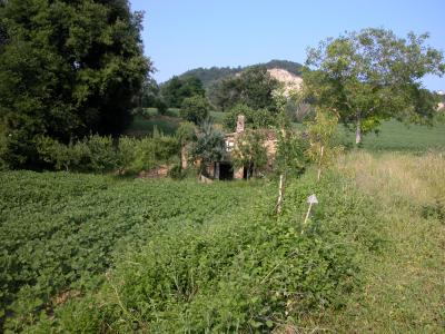 Casale Colonico in vendita a Force