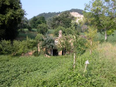 Casale Colonico in vendita a Force