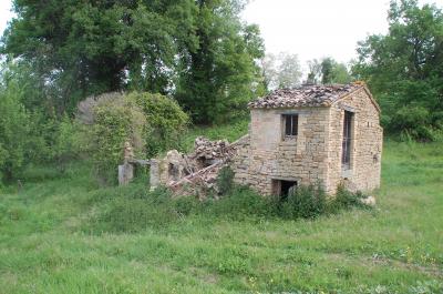 Casale Colonico in vendita a Force