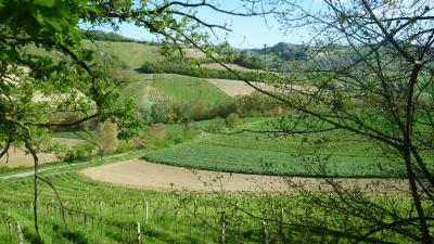 Casale Colonico in vendita a Ripatransone