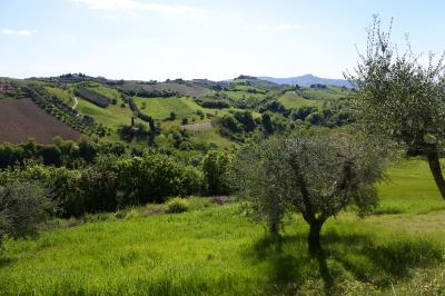 Terreno agricolo in vendita a Monsampolo Del Tronto (AP)