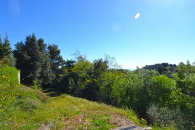 Villa singola in vendita a Ripatransone