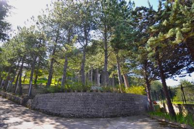 Villa singola in vendita a Ascoli Piceno